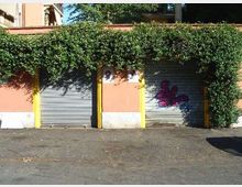 Cortile o area di parcheggio con due serrande grigie di garage in un muro color salmone, separate da pilastri gialli. Una fitta vegetazione rampicante copre la parte superiore del muro e una serranda presenta un graffito.