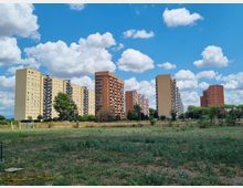 Vista di un’area aperta con vegetazione bassa in primo piano e, sullo sfondo, una fila di alti condomini residenziali in cemento e mattoni con balconi. Il cielo è azzurro con grandi nuvole e alberi lungo il margine del quartiere.