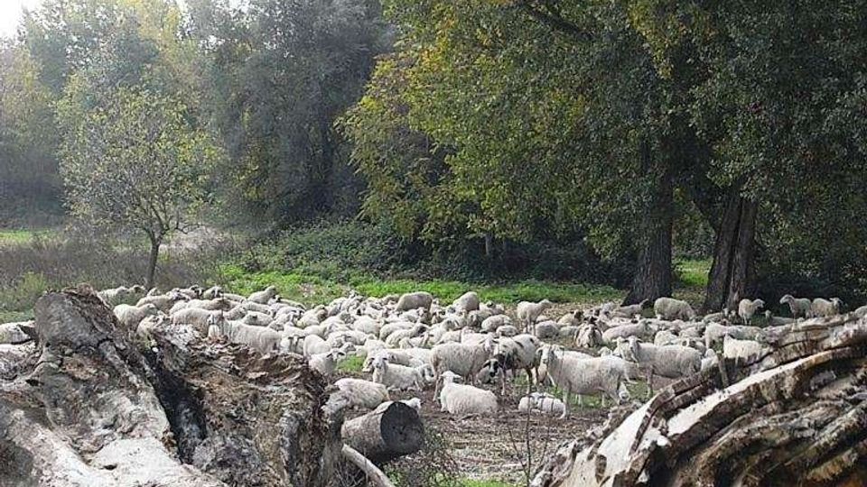 560-d161d4433904e1a56a3fb56b5e0c6446jpg