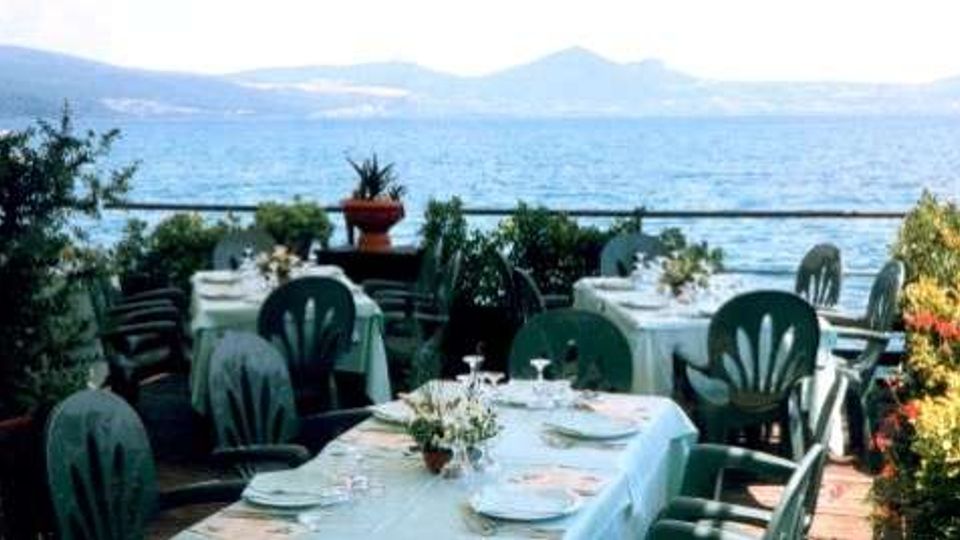 1232-a49e5417e20e7c6a1ac65dd25ea68160jpg