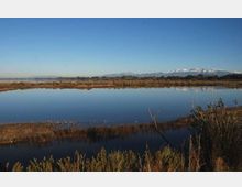 51767-photo-pantani-inferno-jpg-200827192123-pantani-inferno-jpgjpg