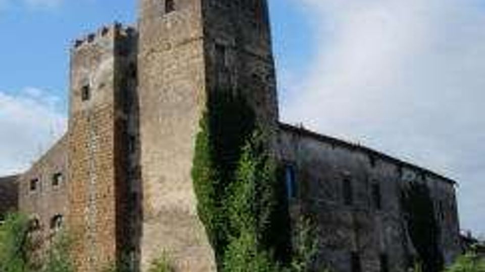 Castello medievale in pietra con alte torri quadrate e mura massicce, parzialmente coperto da vegetazione rampicante. La struttura si staglia contro un cielo azzurro con nuvole, circondata da cespugli e alberi.