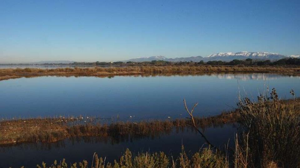 51767-photo-pantani-inferno-jpg-200827192123-pantani-inferno-jpgjpg