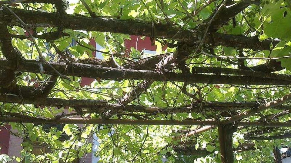 56824-photo-080620146374-jpgjpg