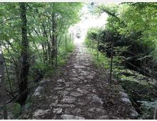Sentiero stretto in pietra irregolare che attraversa un’area boschiva, con vegetazione fitta ai lati. Il percorso è affiancato da recinzioni metalliche e conduce verso una zona più luminosa in fondo.