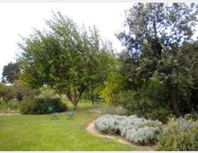 588-d5736834d7b231f26db98963223883dfjpg