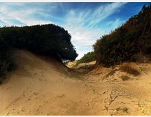 51856-photo-dune-800-jpgjpg
